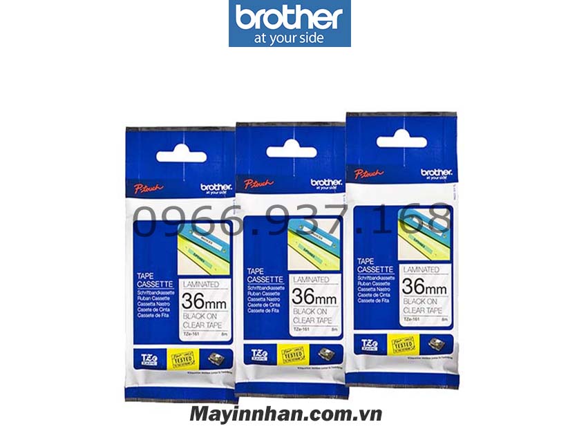 Nhãn 36mm TZE 161 (36mm,8m)